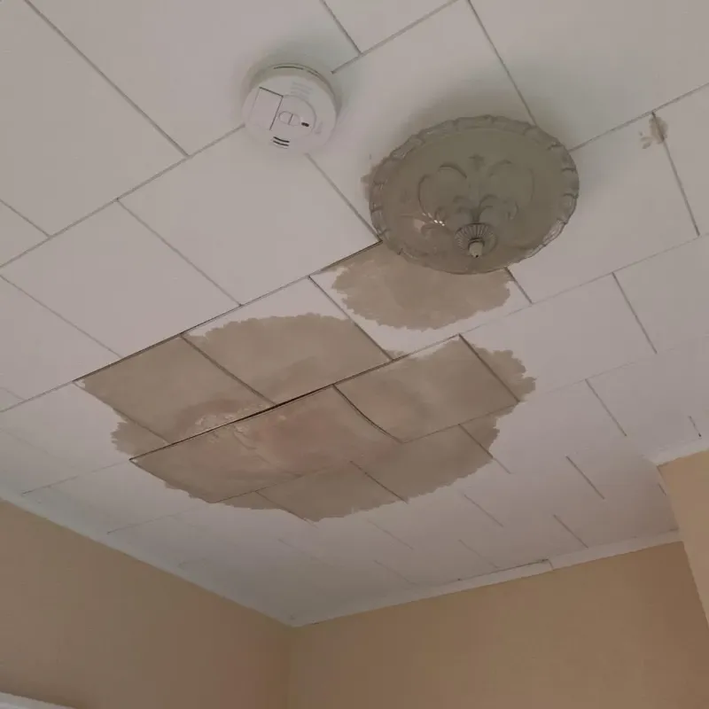 Ceiling Water Damage Repair in Gang Mills, NY
